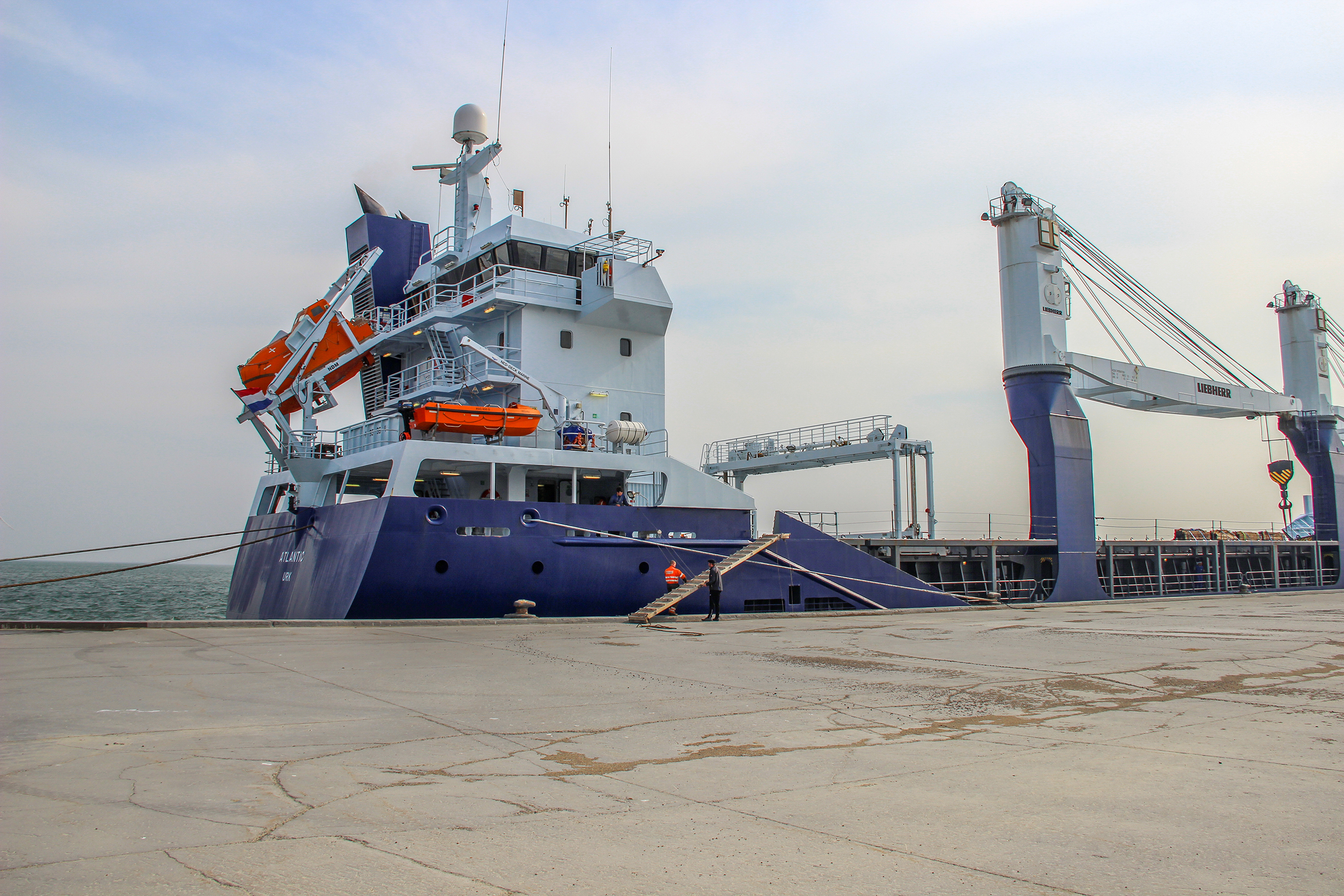 Cargo Transformer 4654 Web